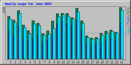 Hourly usage for June 2025