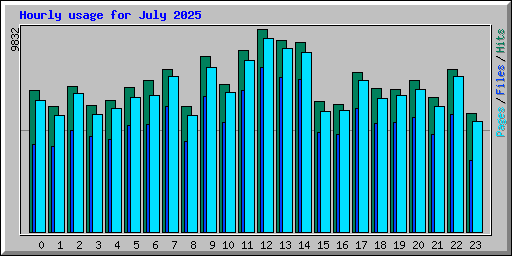 Hourly usage for July 2025